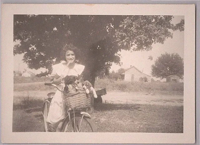 1940s Rural Young Lady Cruiser Bicycle Basket with Cute Puppies Vintage Photo