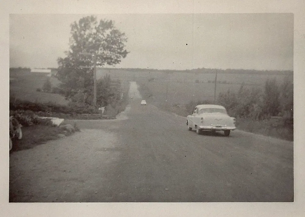 1953 Buick Special 1950s Photo Rear Tailights Country Road Tree Bicycle Field