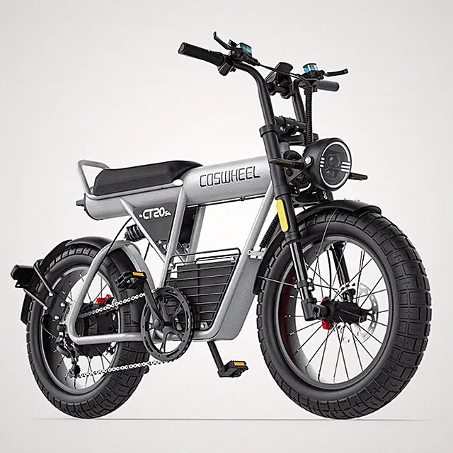Off-road 60v 2000w Peak Electric Bike All Terrain E Bike 100miles For Adults