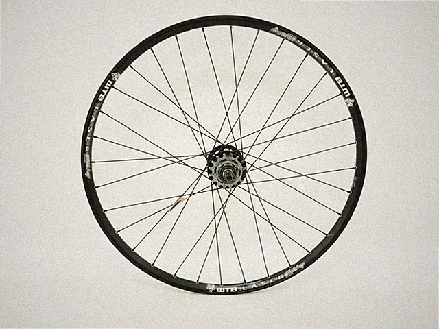WTB Laser Disc XC Singlespeed Mountain Bike Rear Wheel 26" 6-Bolt Disc 16t Cog